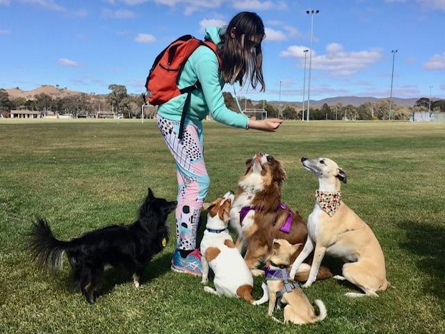 Female playing with dogs