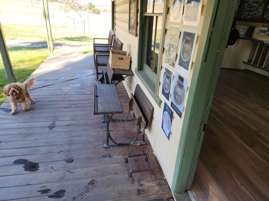 Dog on leash outside at Helm Wines