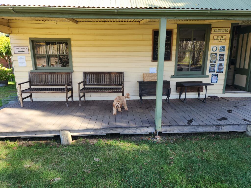 Covered dog area at Helm Wines