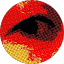 Denise R. Avatar