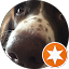 Get2theChopperWalrus Avatar