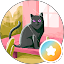 Simone Avatar