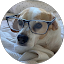 Helen S. Avatar