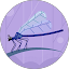 Maddie Avatar